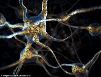 TRANSCENDENT POWER: the magical metaphysics of manic zen