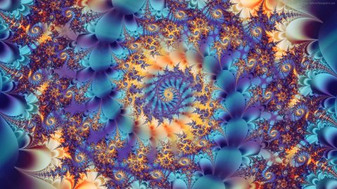 TRANSCENDENTAL FIRE: conjuring a life cult
