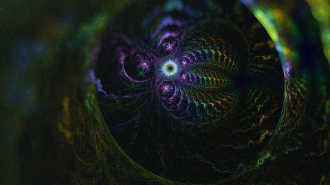 BECOMING JOY